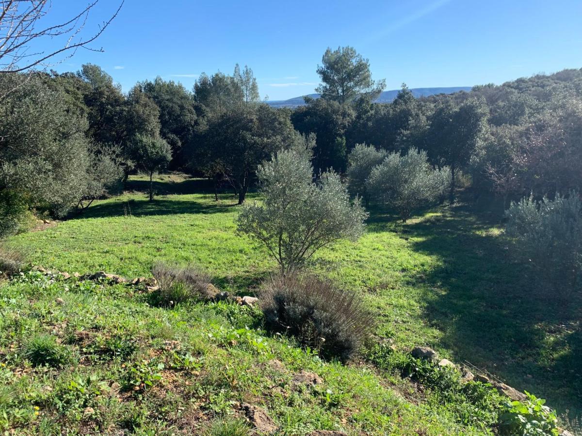 Les Terrasses Des Gardies Pignan Exterior foto